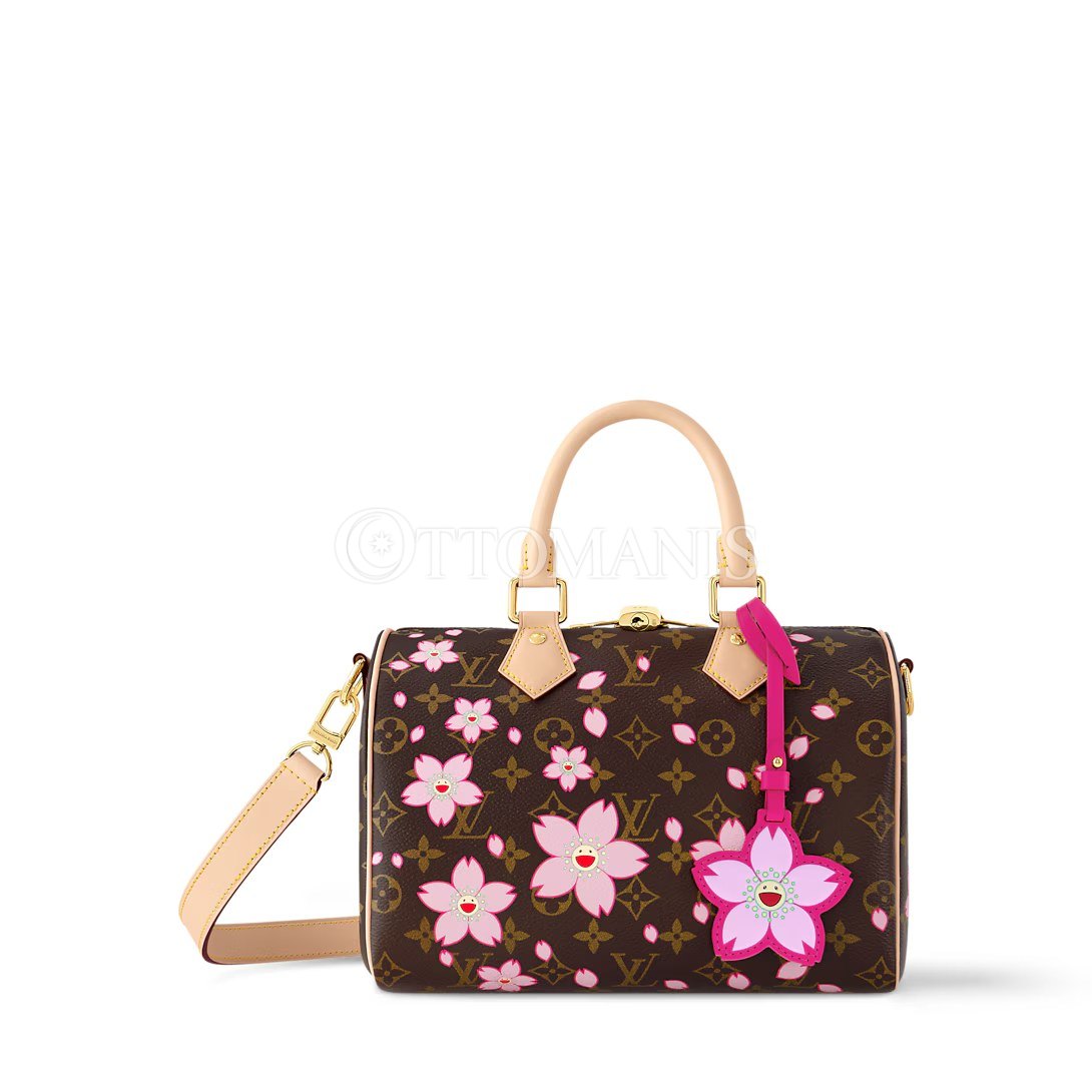 louis vuitton LV x TM Speedy Bandoulière 25