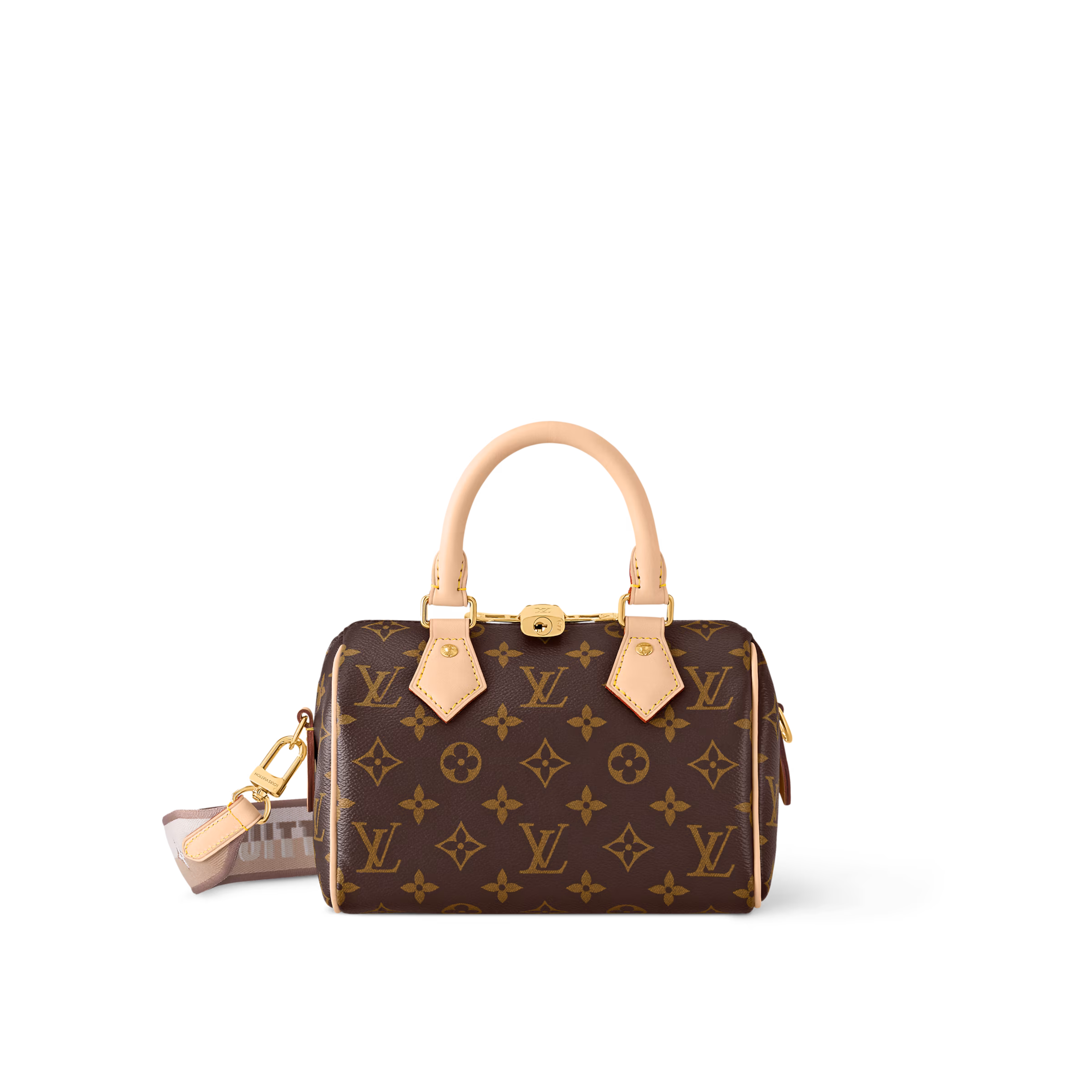 louis vuitton Speedy Bandoulière 20