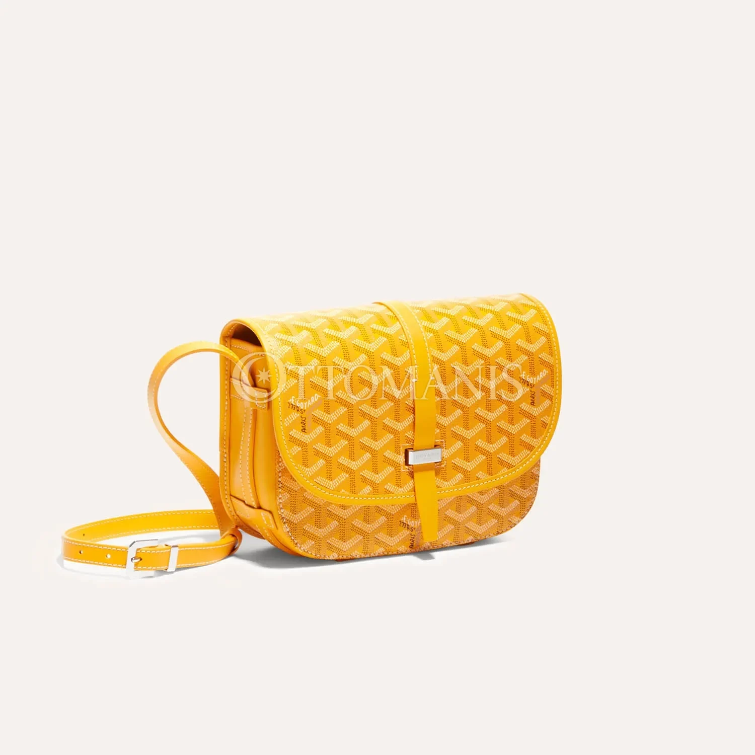 Goyard Belvedere PM Çantası