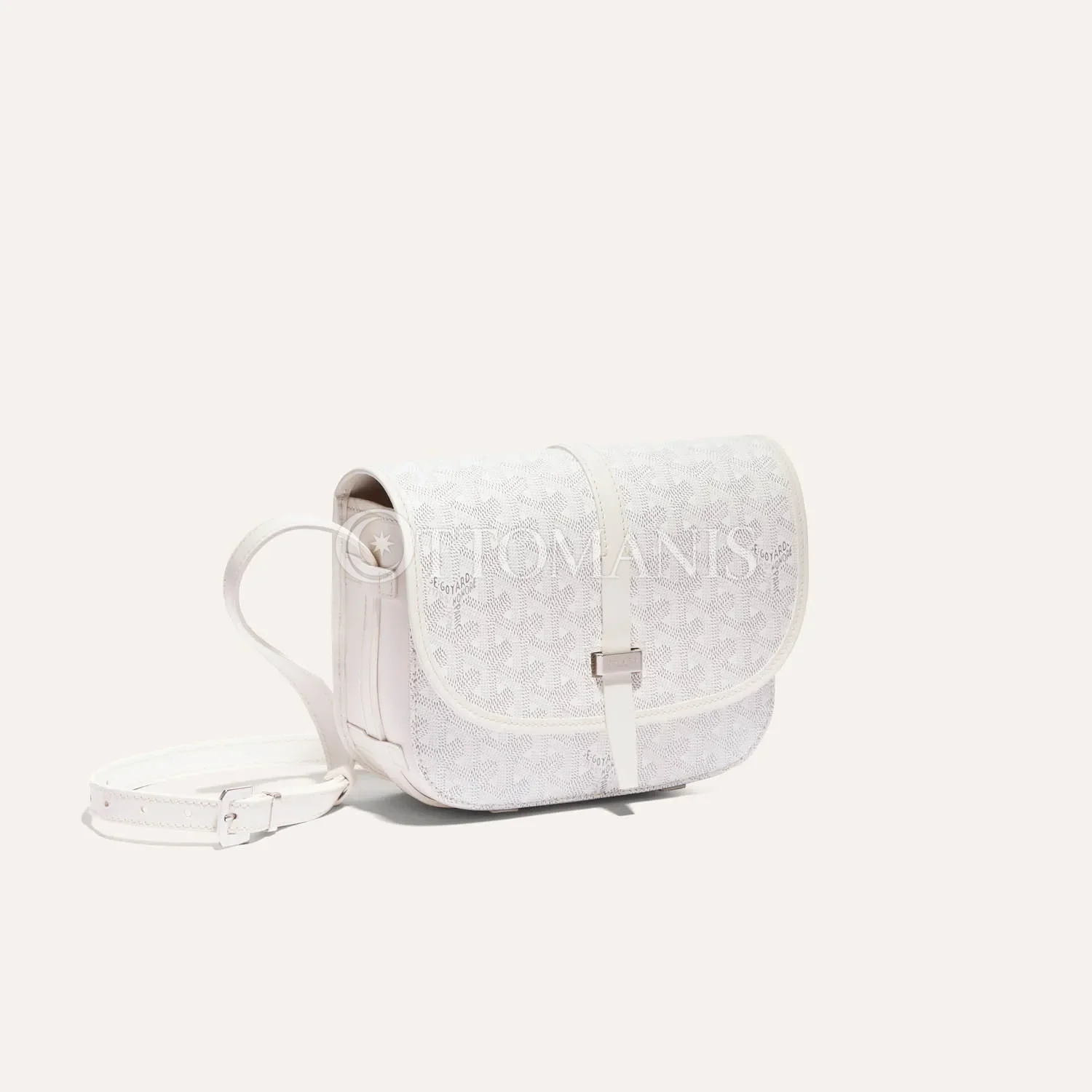 Goyard Belvedere PM Çantası