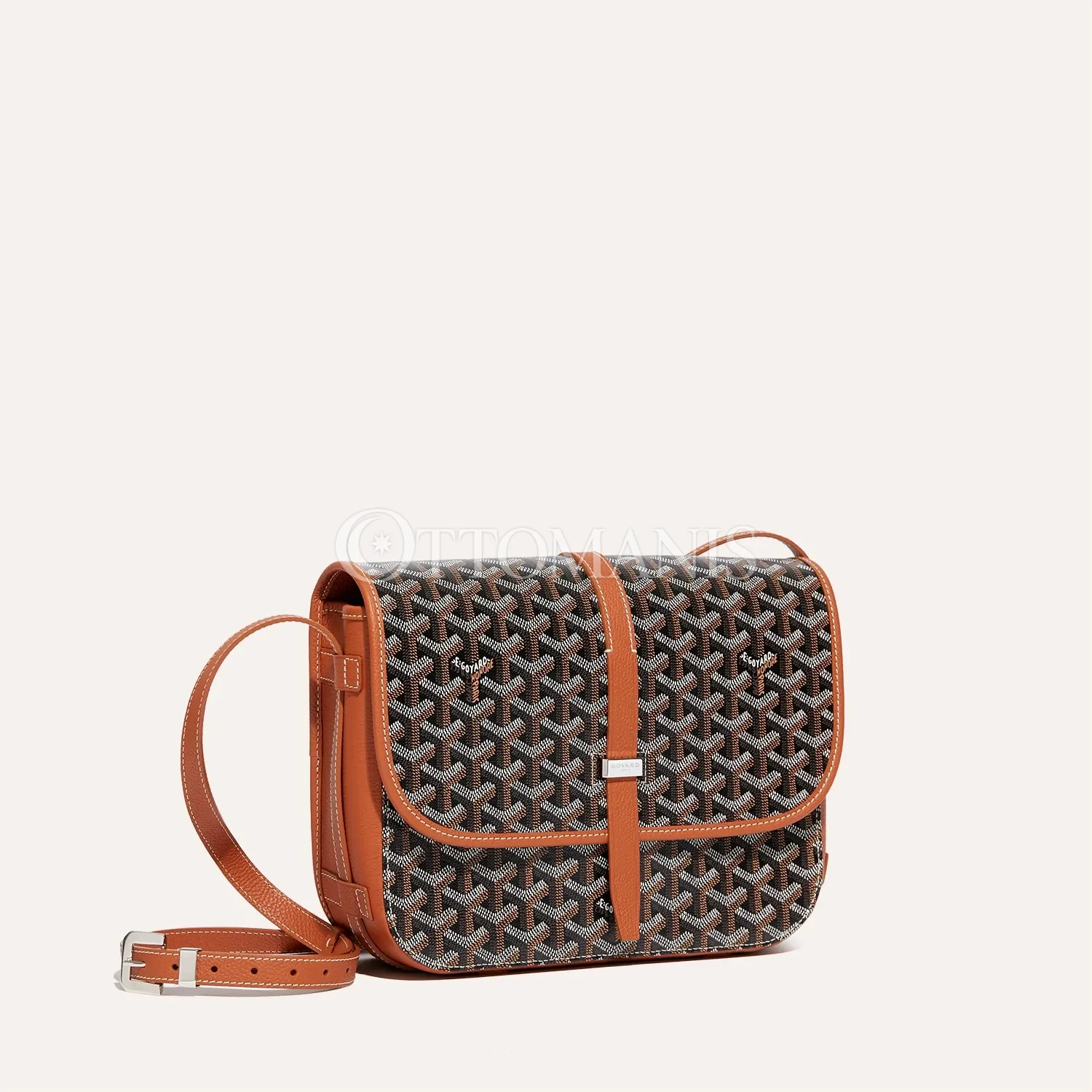 Goyard Belvedere MM Çantası