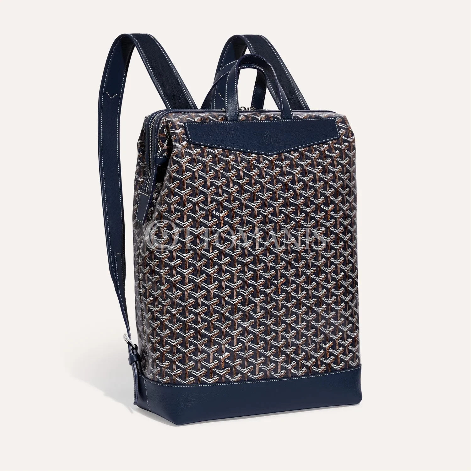 Goyard Cisalpin Sırt Çantası